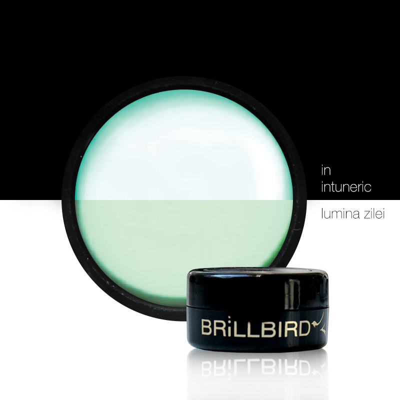 Brillbird Norge NAILART Pigment – Glow in the dark 1