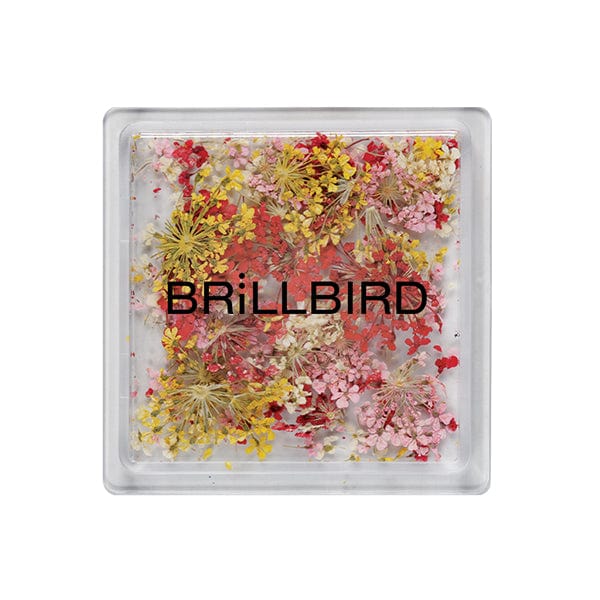 Brillbird Norge NAIL ART TØRKEDE BLOMSTER- Mix Sunrise