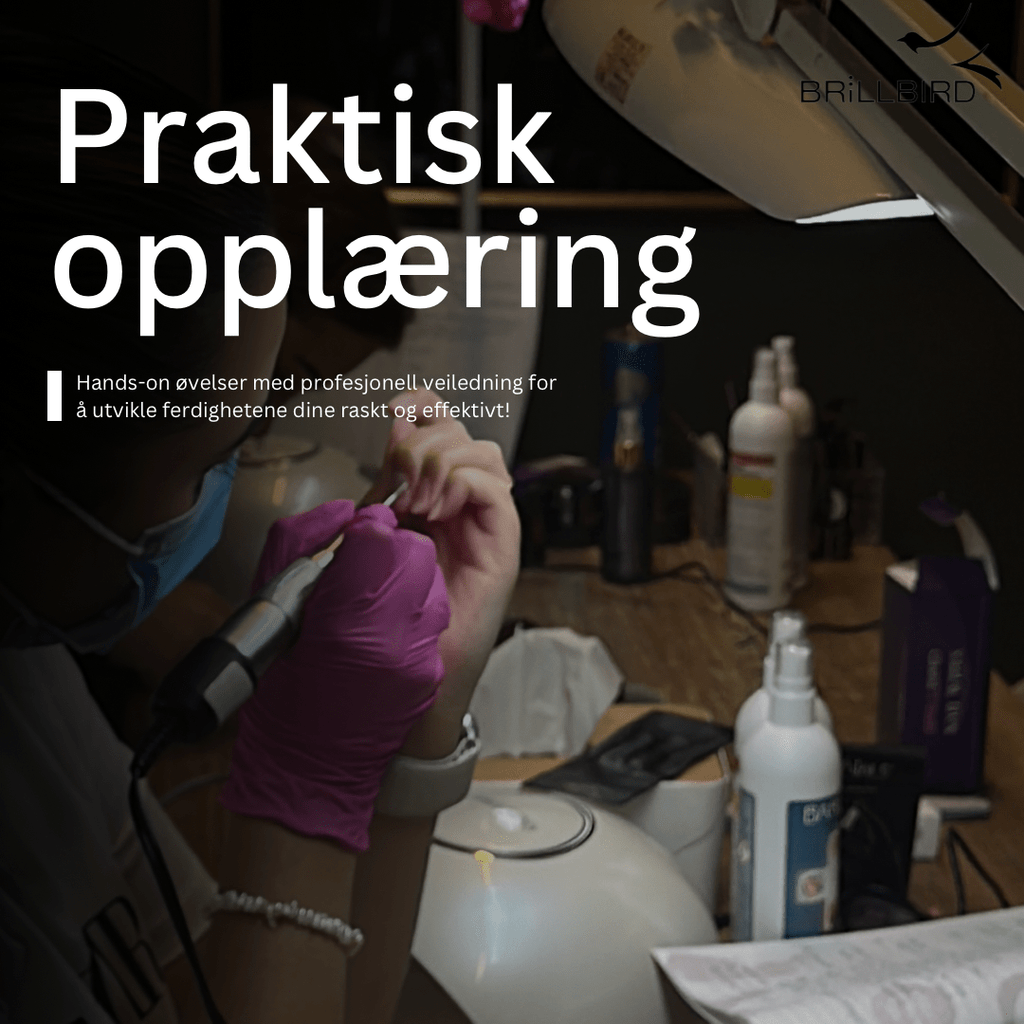 Brillbird Norge KURS Grunnkurs i Basic Gel-teknikk