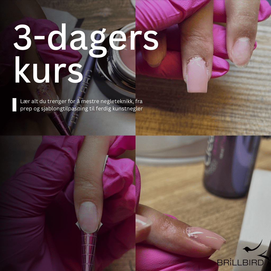 Brillbird Norge KURS Grunnkurs i Basic Gel-teknikk