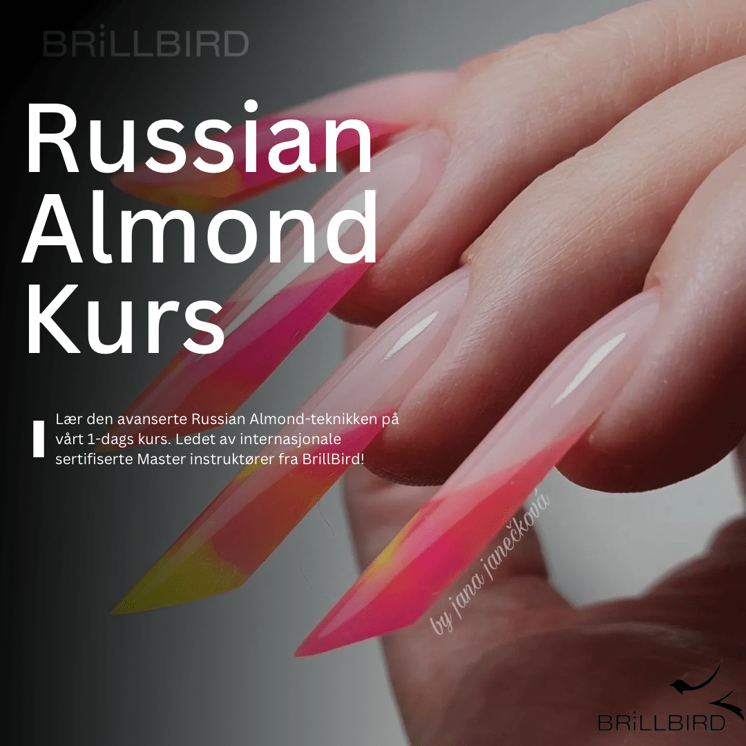 Brillbird Norge KURS Russian Almond kurs