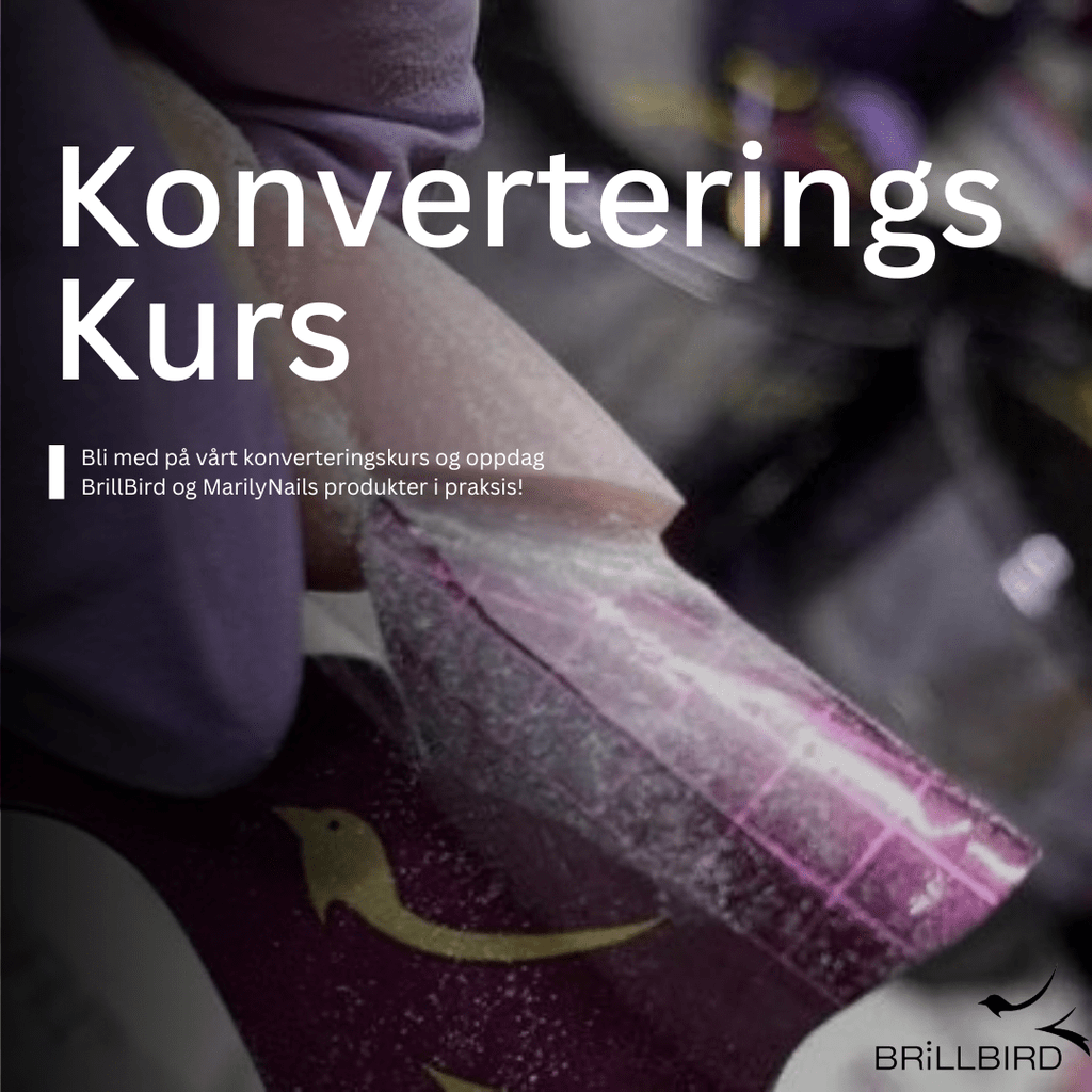 Brillbird Norge KURS Konverteringskurs