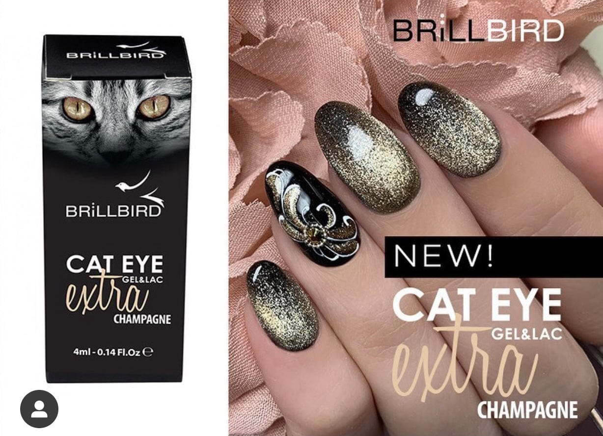 Brillbird Norge CAT EYE EXTRA Cat Eye Extra- Champagne