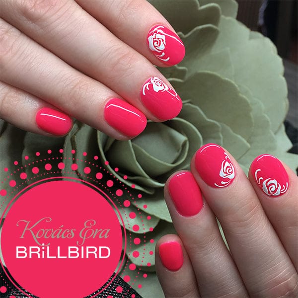 Brillbird Norge Hypnotic Rio lights