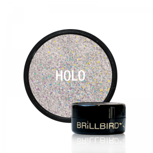 Brillbird Norge NAILART Micro Glitter #13 – Sølv Holo